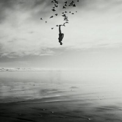 海星体育app下载